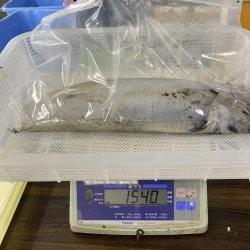 2019初のキロアップ