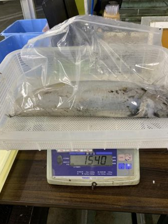 2019初のキロアップ