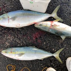 ナブラミノー炸裂