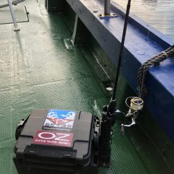 ロックフィッシュゲームでメバルも