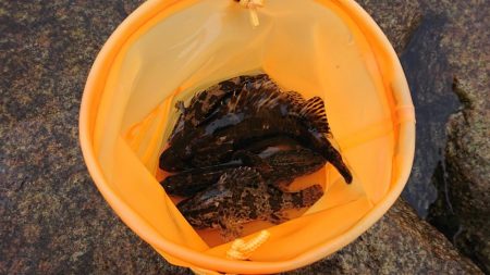 江井ヶ島海岸・穴釣り