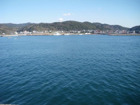 鯖が少しだけ大きくなってた