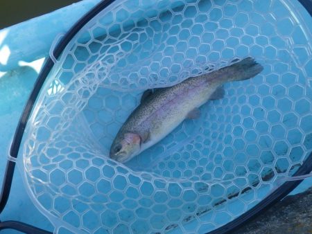 プール　さいたま水上公園