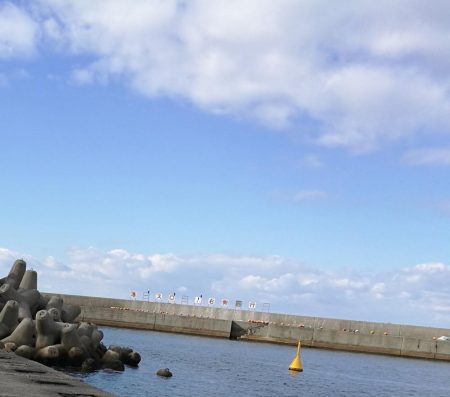【釣り】泉佐野市、佐野漁港釣行 （小雨降る漁港で ハゼ釣果）