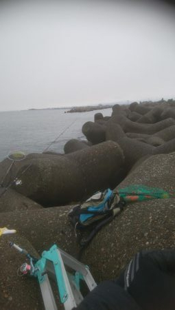 カレイ狙いでしたが、釣れませんでした。