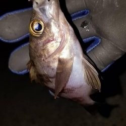 癒やしを求めて‼