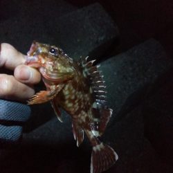 冬になってきました…