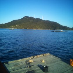 今年初の筏釣り。