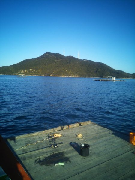 今年初の筏釣り。