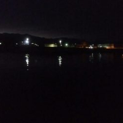 ヤリイカ 胴長32センチ!!