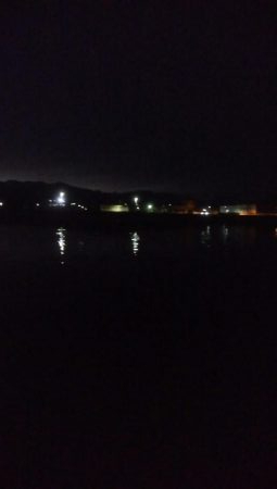 ヤリイカ 胴長32センチ!!