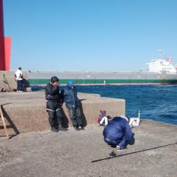 播磨新島でキス釣り