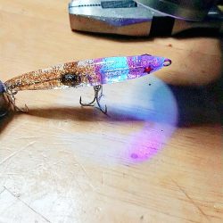 爆風メバルプラッキング