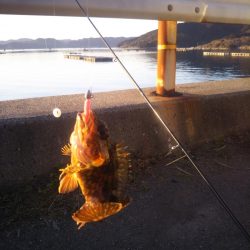 時間が空いたので。