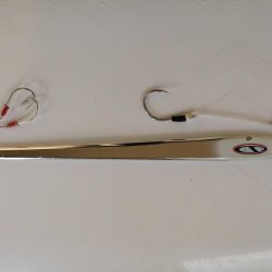 初釣りでデカ鰆ゲット