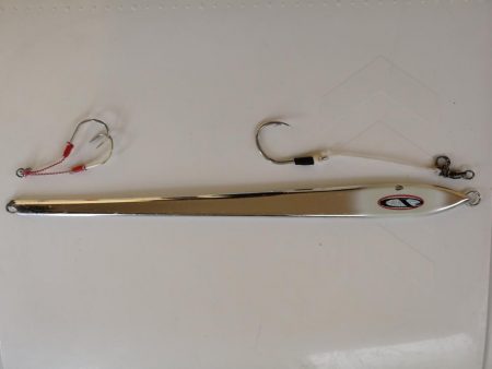 初釣りでデカ鰆ゲット