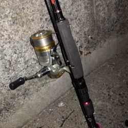 真冬のタチウオ