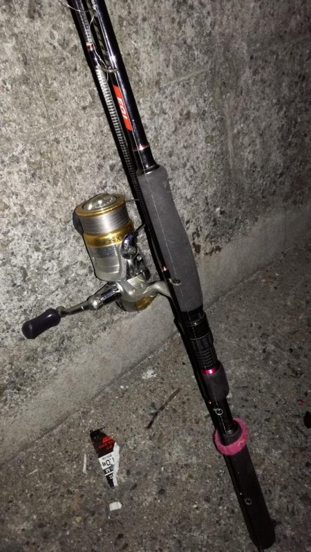 真冬のタチウオ