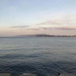 久しぶりのスズキ