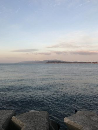 久しぶりのスズキ