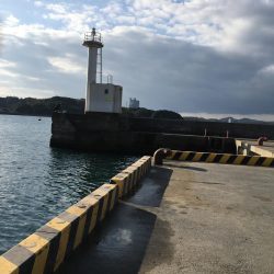 サビキで小サバ37㎝