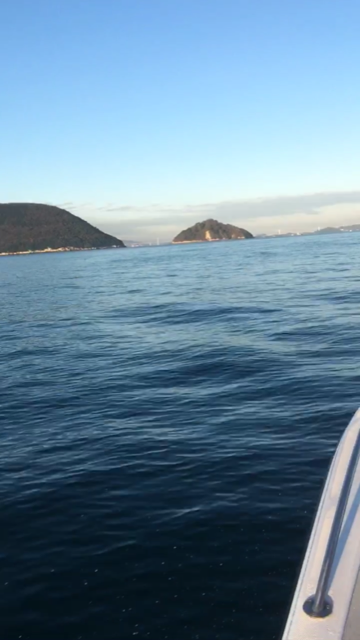 鯛サビキ釣果！