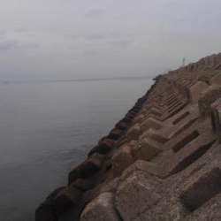 フカセがいいっ!