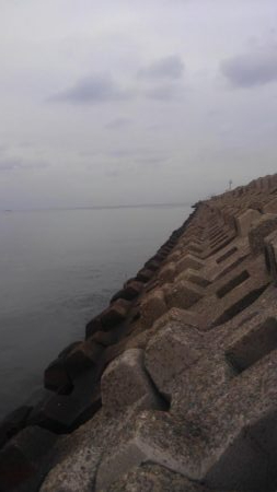 フカセがいいっ!