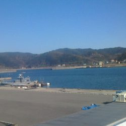 サビキしか釣れん。。