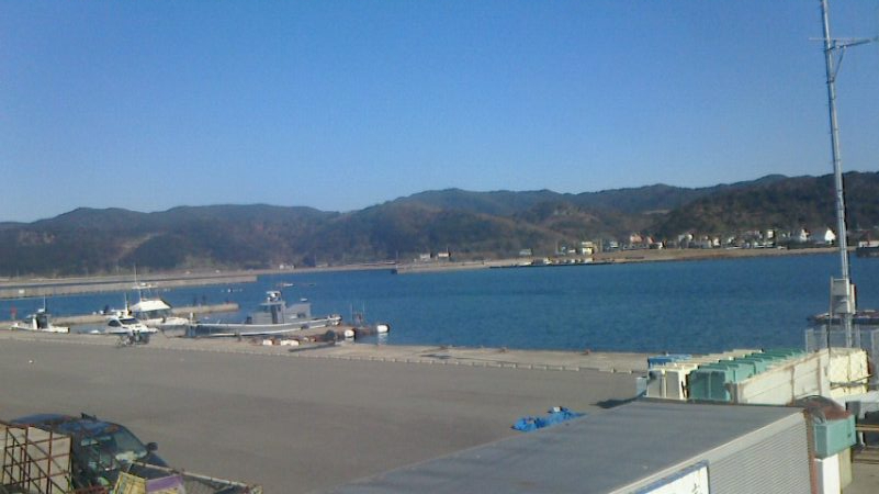 サビキしか釣れん。。