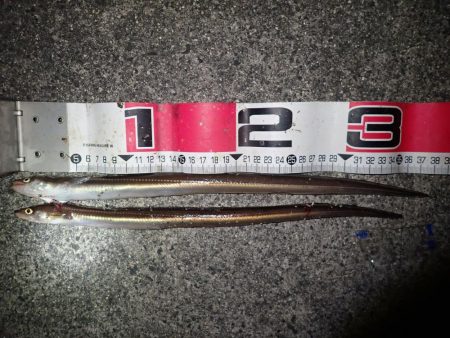 投げ釣り（2018年釣り収め）