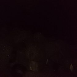 食品コンビナート ガシリング