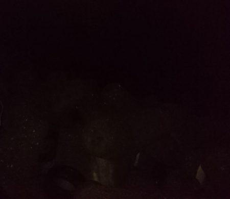 食品コンビナート ガシリング