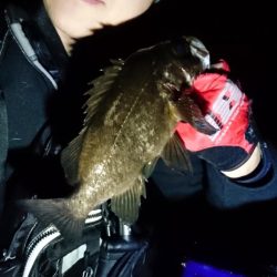 2019年初フィッシュと自己新記録