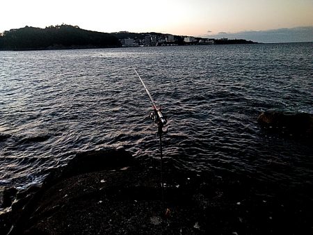 初アオリイカ釣れました!!