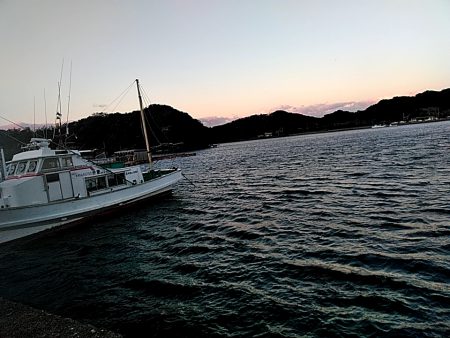 メバルが釣れまたね!!