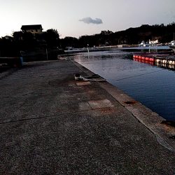 メバルとガシラ釣れましたが・・・