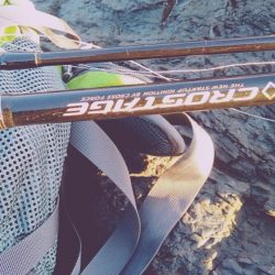 メジロには届かず