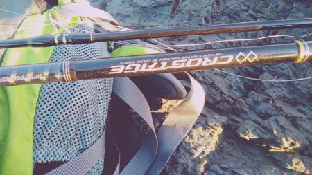 メジロには届かず