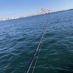 初クロダイゲーム