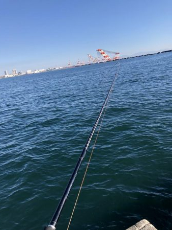 初クロダイゲーム