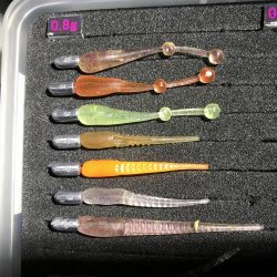 まったりメバル