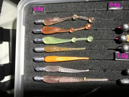 まったりメバル