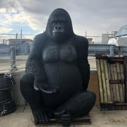 初釣りロックフィッシュ