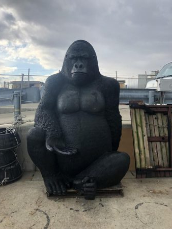 初釣りロックフィッシュ