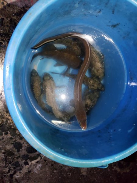 釣り連休最終日