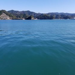 アオリ釣りたい、