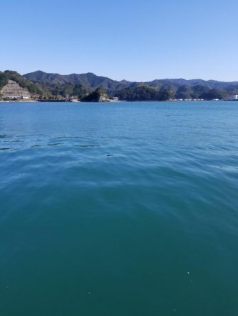 アオリ釣りたい、