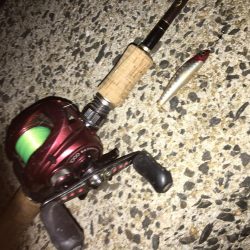 ライトゲーム同窓会