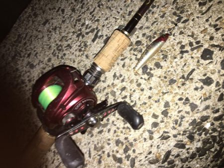 ライトゲーム同窓会